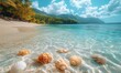 © Shohidul - Seashells on a tropical beach with clear turquoise ocean water