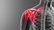 © QTQH - 3D anatomy illustration of shoulder nerve pathways and pain with red glow for neurology education or pain management