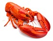 © Kentos - A cooked, red shellfish with claws resting on a white surface
