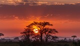 Sunset over acacia trees in Africa, highlighting natural environment and dusk lighting