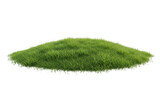 Lush green grass mound isolated on black background with white outline image, Isolated On Png Transparent Background