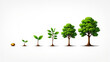 © Elena - Tree grows from a seed to a sapling to a small tree to a large tree