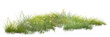 © Saharattaphum - grass isolated on white background/Fresh green grass patch isolated on a white background, symbolizing natural growth, ecology, and outdoor landscape beauty.