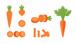 © MDFiroj - Flat carrot vegetable vector set isolated on white background for healthy food and nutrition design