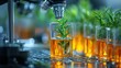 © Kadal - Laboratory glassware with plant samples being examined under a microscope. Focus on science
