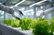 © Iryna - Robotic arms harvesting fresh green lettuce in a high-tech agricultural facility