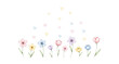 © Wilda - spring flowers on white background