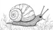 © Aziz - Detailed monochrome illustration of a snail with textured shell and surrounding foliage