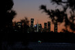 © Nicholas Matev/Stocksy - Sydney Skyline Framed by Trees after Sunset