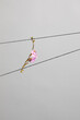 © Karina Sharpe/Stocksy - Pink Flower Resting on Taught Strings Against a Gray Sky