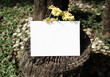 © Prachot Yuenyong/Stocksy - Organic photo white card on old stump wood yellow floral decoration