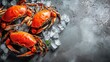 Three crabs are arranged on a bed of ice with a gray surface beneath them. A small piece of parsley is included for decoration. This scene shows food prepared for cooking or serving.