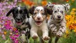 © Wall Art Galerie - Three playful puppies running through colorful flowers, joyful pet illustration with vibrant nature setting and happy mood