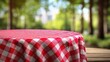 © mila103 - A table is set with a red and white checkered cloth in a park. Green trees surround the area. Sunlight filters through the leaves creating a casual outdoor setting.