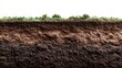 © MiraeStudio - Cross-section of soil layers with grass and vegetation on top.