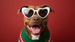 © Gaming - Happy Pit Bull Dog Wearing White Heart Sunglasses and Festive Ugly Sweater Against a Vibrant Red Studio Background