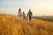© Studio Romantic - Family walking at sunset through meadow togetherness. In warm nature light, parents and children explore golden grass, sharing happiness on hillside. Summer sunset happy family unity.