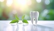 © EFA - Dental Health Concept White Tooth With Green Plant On Sunny Background