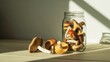 © Kage Dojo - A jar filled with various mushrooms sits on a wooden surface, illuminated by sunlight, showcasing their unique shapes and colors.