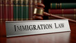 © Creative mind - A sign reading Immigration Law on a desk with a gavel and books