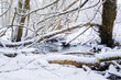 © Walter Riedinger - Thick White Snow Covers Fallen Logs And Arching Tree Branches Over A Small Dark Creek In A Quiet Winter Forest