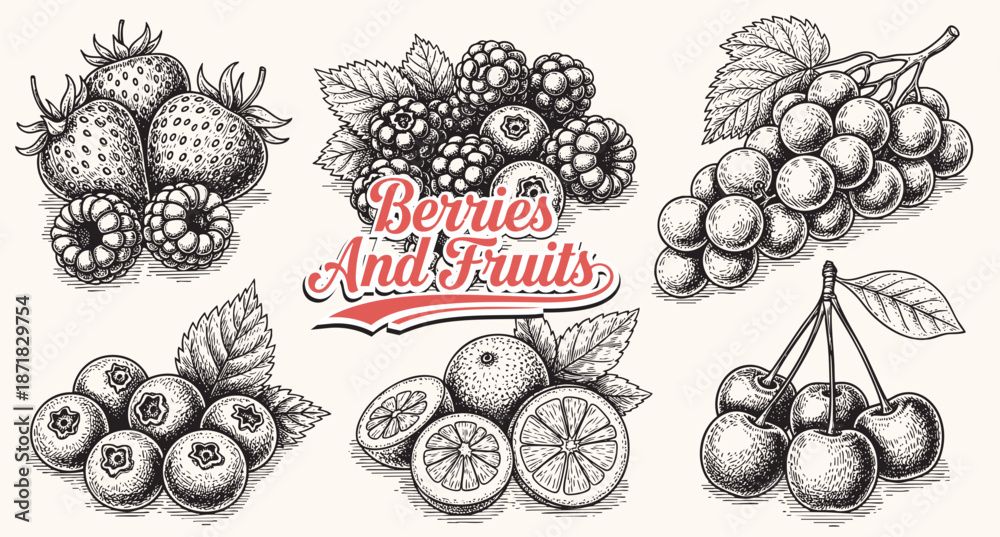 Berries and fruits drawing collection. Hand drawn berry and fruit ...