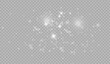 © pixel pro - Snowflakes falling decoration isolated background. White snow flying on transparent