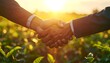 © seh - Partnership handshake in a field at sunset, symbolizing collaboration and agreement.