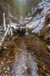 © Travel 'n' Lifestyle - View of a gentle stream meandering through a rocky gorge dusted with snow, flanked by moss-covered rocks and trees, Slovensky Raj, Kosice Region, Slovakia.