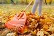 © sementsova321 - A person uses a large rake to gather bright orange leaves into a pile in a park during the fall season in the afternoon light