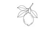 © Adnan - Artistic line drawing of a lemon branch with a single ripe citrus fruit and several leaves for botanical illustration.
