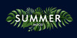 © Apurba - Tropical leaves and the word summer mood in a vibrant design