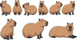 © Firoz - Set of capybara characters, flat vector illustration of the world's largest rodents in various poses including sitting and resting isolated on white