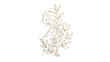 © Dina - Elegant woman profile with floral botanical elements, delicate line art, golden outline, transparent background