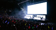 © sxcd - E-Sports Arena Crowd Watching Tournament with Blank Screen