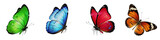 butterfly set, isolated colorful butterflies in green blue red orange, realistic 3d monarch and tropical butterfly collection, flying insect design elements, png