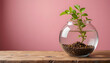 © Zawar - Small potted plant in glass vase on wooden table with soft pink background in warm natural lighting for home decor