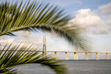 Palm leaves framing Vasco da Gama Bridge