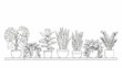 © Hasyim - Collection of Houseplants in Pots on a Shelf Line Art.