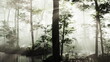 © icetray - Soft light filters through tall trees in a tranquil forest. A gentle mist hovers over the ground, creating a serene atmosphere by a quiet stream. Nature awakens with fresh energy and beauty.