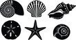 © OKAN - Flat design nautical shell collection close up black silhouette nautilus conch scallop sand dollar starfish isolated on white background top view simple vector stencil line art
