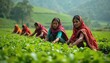 © miss irine - Several indian woman cultivate crops in field. Rural women work on plantation farmland. Traditional village farming, agrarian lifestyle, ethnic people cultivate green vegetable plants during