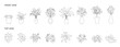 © Tech LAB - Set of plant pots for architectural and interior design projects, no background png