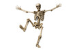 © PNG Kingdom  - Human skeleton posing in a lively dance, representing joyous movement and an anatomical study. Transparent background