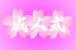 © kudoh - 成人式