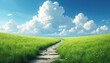 © Viktor - Grassy field with stone path leading to cumulus clouds under blue sky. Rich green meadow and wildflowers under vast sky with fluffy clouds. Peaceful summer landscape for travel or journey.