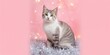 © AIArtistry - Domestic cat with white and tabby fur nestled among Christmas tinsel on pink background, holiday pet safety focus