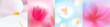 © olechkaart - Blurred spring flowers set. Macro flowers. White, pink, blue soft colors. Blurry landscape with plants. Design for card, invitation, cover, post. Place for text.