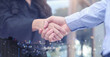 © chinnarach - close up manager businesswoman handshake with businessman to make deal agreement contract about company new project and congratulation for success concept