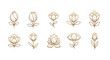 © Amir - Set of ten elegant, minimalist golden line art flower icons on a clean white background, perfect for branding, logos, and design elements, showcasing delicate floral outlines with a touch of luxury